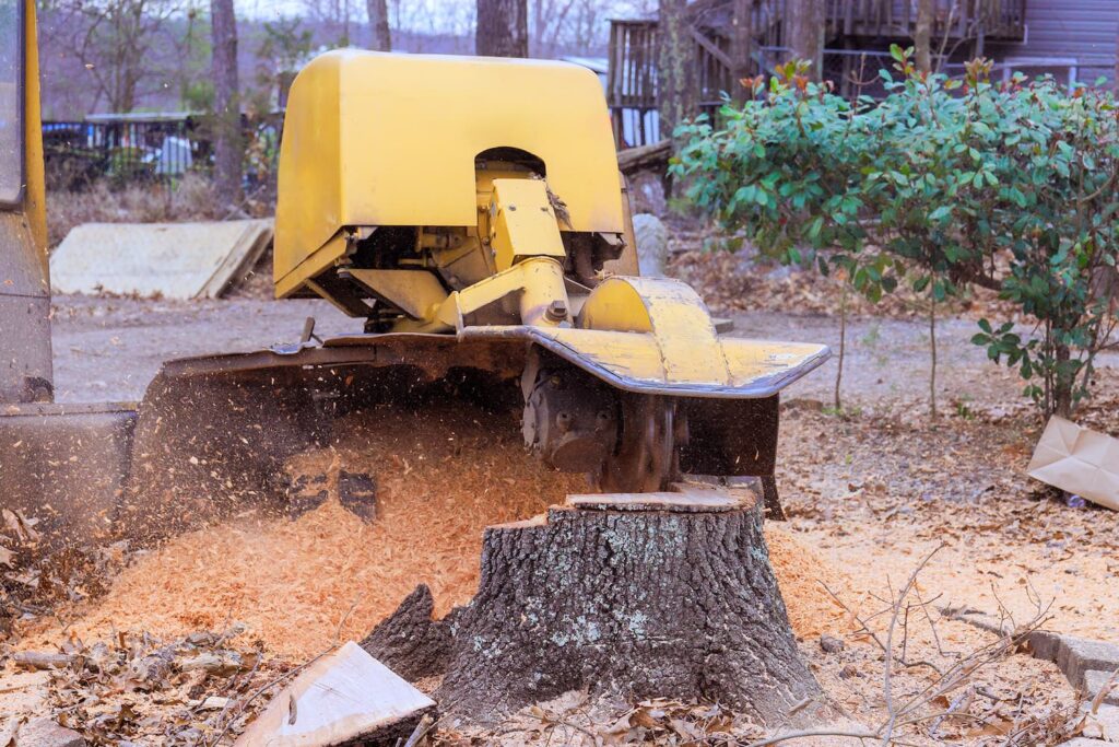 best stump grinding contractor in Tallahassee, FL