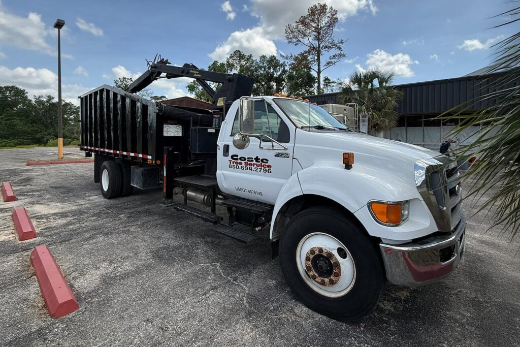 Coste tree service debris hauling