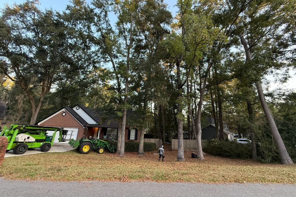 prepare for hurricanes with Coste Tree service