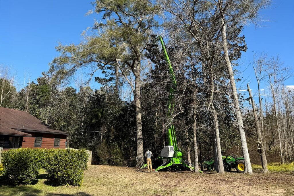 storm prep tree trimming services
