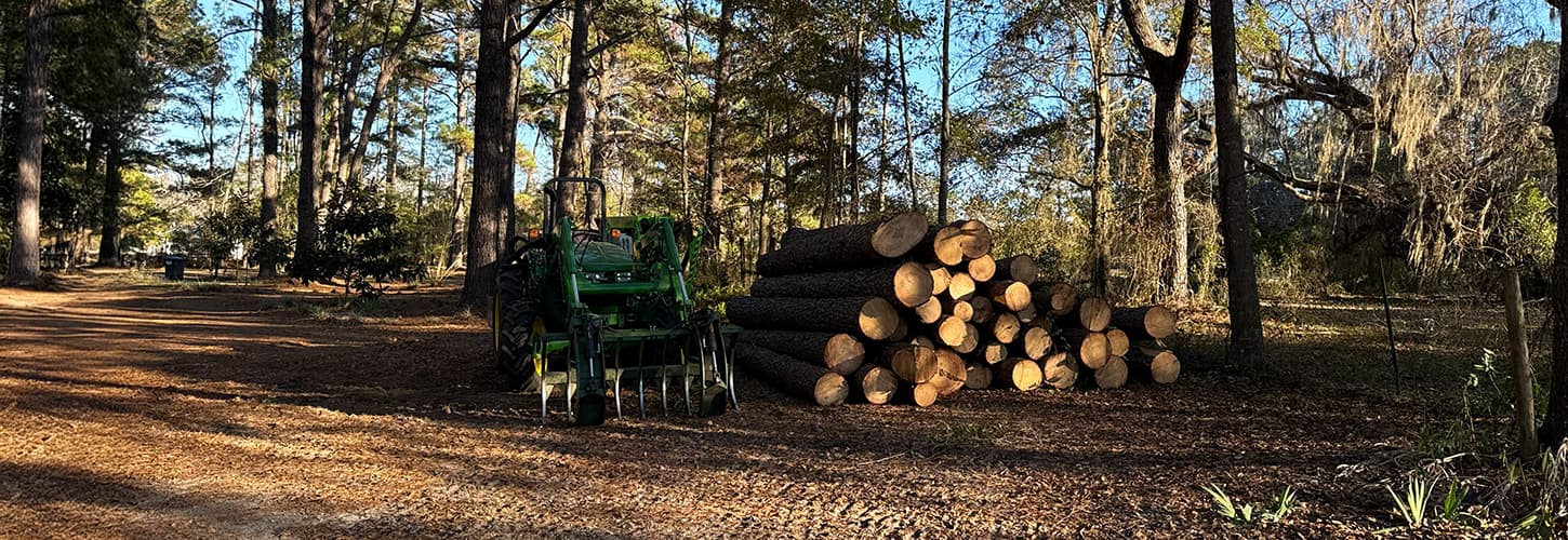 tree debris removal in Tallahassee, FL