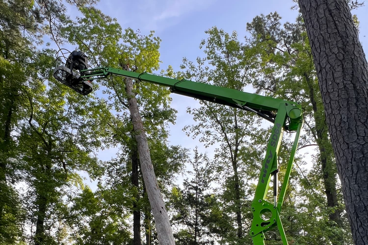 tree trimming services in Tallahassee, FL