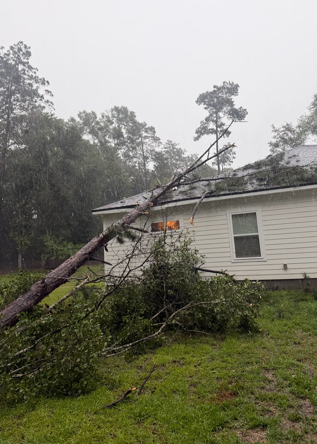 emergency tree removal services in Tallahassee, FL