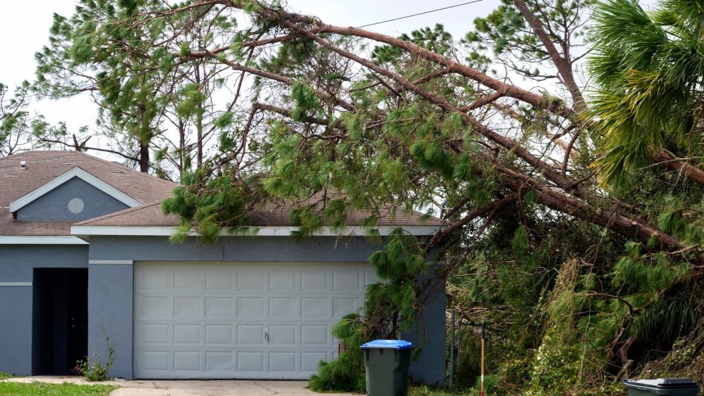 storm damage tree removal in Tallahassee, FL